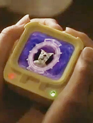 the-tale-of-the-virtual-pets-are-you-afraid-of-the-dark